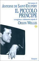 Libraccio