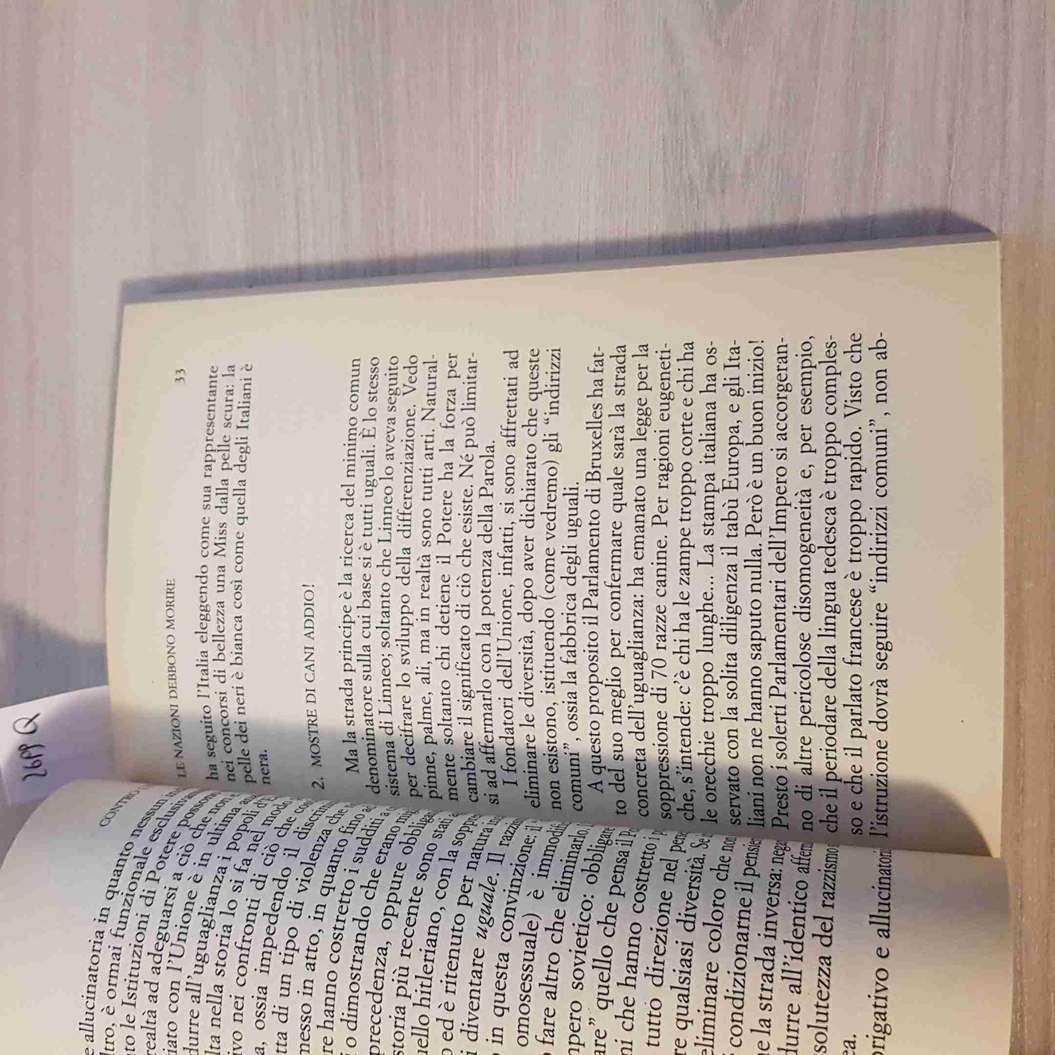 Contro l'Europa. Tutto quello che non vi hanno detto di Maastricht