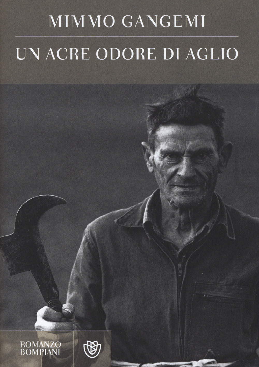 Libreria Vecchi Libri