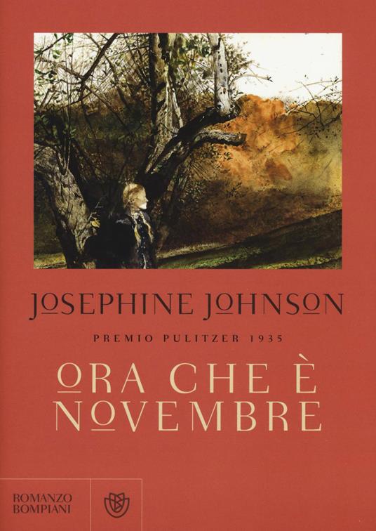 Ora che è novembre - Josephine W. Johnson - copertina