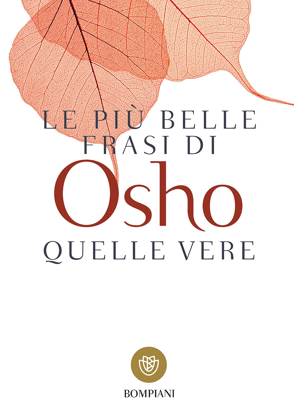 Libraccio
