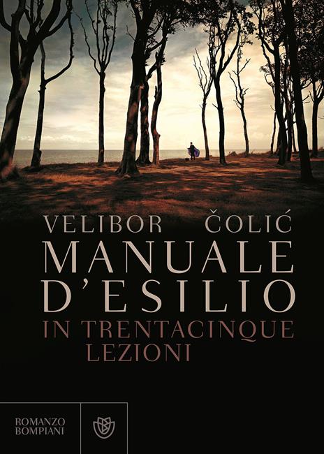 Manuale d'esilio - Velibor Colic - copertina