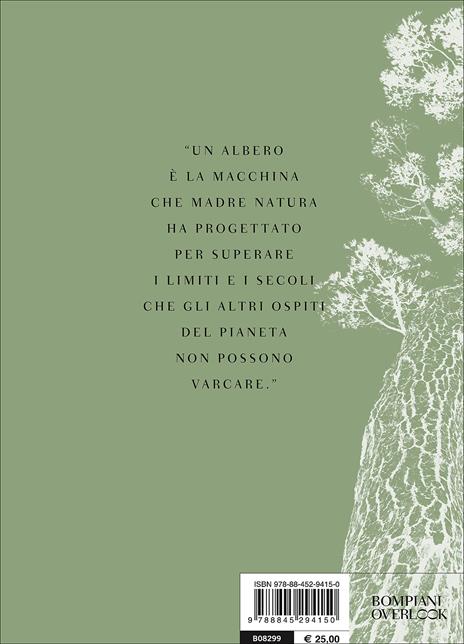 I giganti silenziosi. Gli alberi monumento delle città italiane - Tiziano Fratus - 3