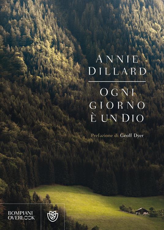 Ogni giorno è un dio - Annie Dillard - copertina