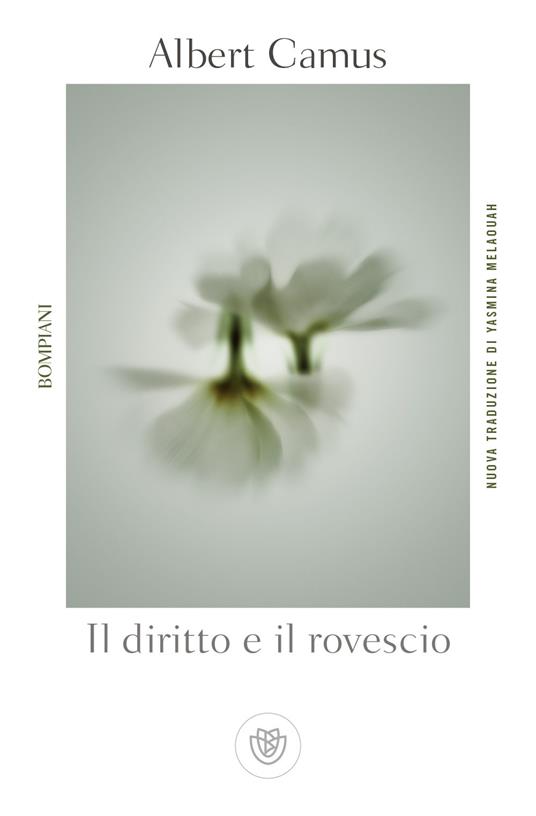 Il diritto e il rovescio - Albert Camus - copertina