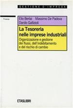 La tesoreria nelle imprese industriali. Organizzazione e gestione dei flussi, dell'indebitamento e del rischio di cambio