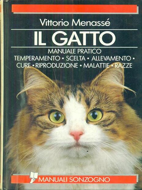 Il gatto - Vittorio Menassé - copertina