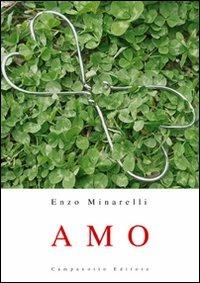 Amo - Enzo Minarelli - copertina