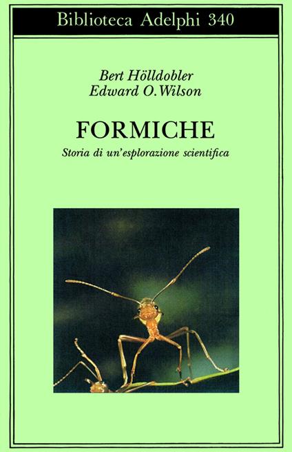 Formiche. Storia di un'esplorazione scientifica - Bert Hölldobler,Edward O. Wilson - copertina