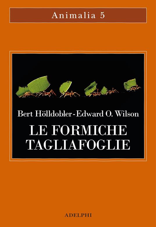 Le formiche tagliafoglie. La conquista della civiltà attraverso l'istinto - Bert Hölldobler - copertina