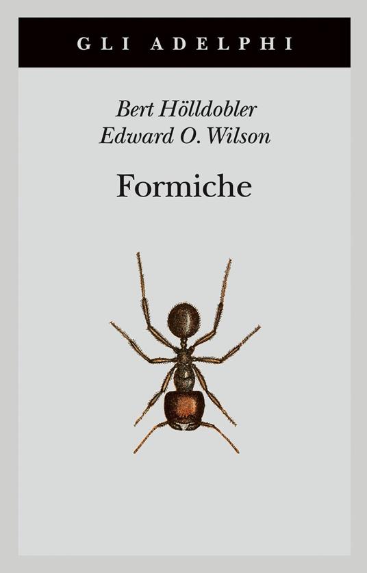 Formiche. Storia di un'esplorazione scientifica - Bert Hölldobler,Edward O. Wilson - copertina