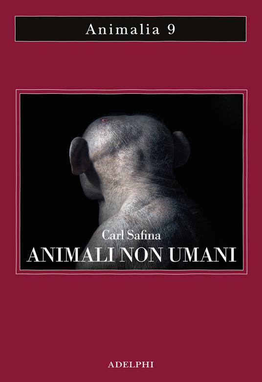Animali non umani. Famiglia, bellezza e pace nelle culture animali - Carl Safina - copertina