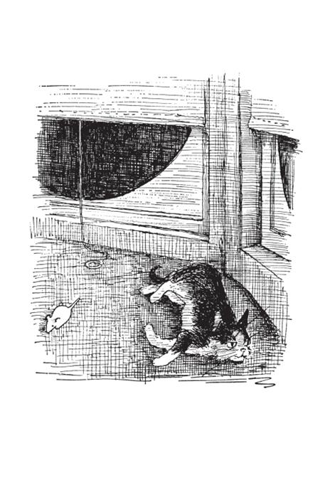 Elephi: un gatto molto intelligente - Jean Stafford - 2