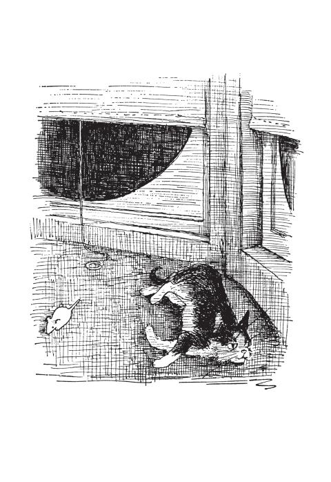 Elephi: un gatto molto intelligente - Jean Stafford - 2