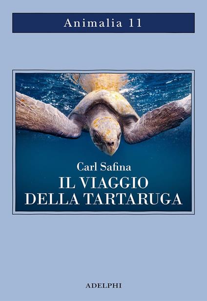 Il viaggio della tartaruga. Alla ricerca dell’ultimo dinosauro - Carl Safina - copertina