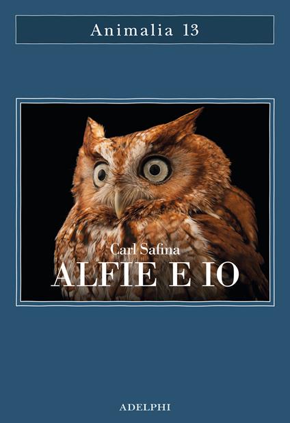 Alfie e io. Quello che i rapaci sanno, quello che gli umani credono - Carl Safina - copertina