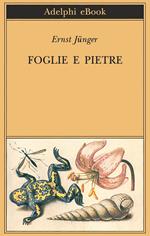 Foglie e pietre