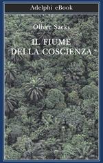 Il fiume della coscienza