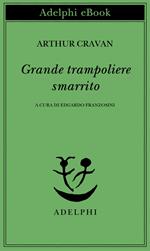 Grande trampoliere smarrito