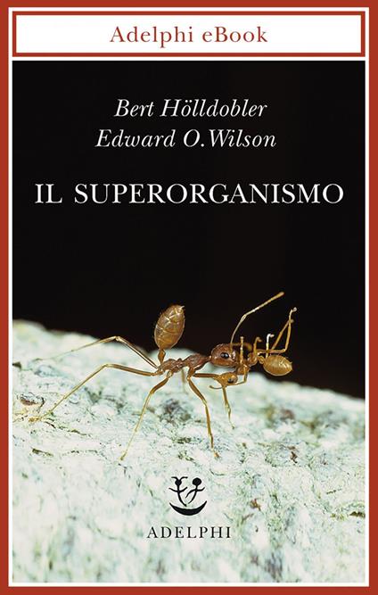 Il superorganismo - Bert Hölldobler,Edward O. Wilson,M. C. Nelson,I. C. Blum - ebook