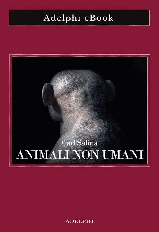 Animali non umani. Famiglia, bellezza e pace nelle culture animali - Carl Safina,Isabella C. Blum - ebook