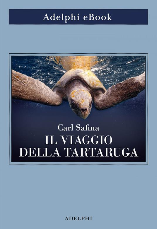 Il viaggio della tartaruga. Alla ricerca dell'ultimo dinosauro - Carl Safina,Isabella C. Blum - ebook