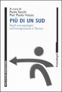 Più di un Sud. Studi antropologici sull'immigrazione a Torino - copertina