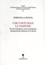 Che cos'è oggi la nazione. Vecchi immigrati, nuovi immigrati. Immigrazione islamica in Francia