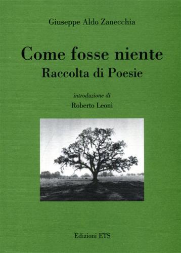 Come fosse niente - Giuseppe Aldo Zanecchia - copertina
