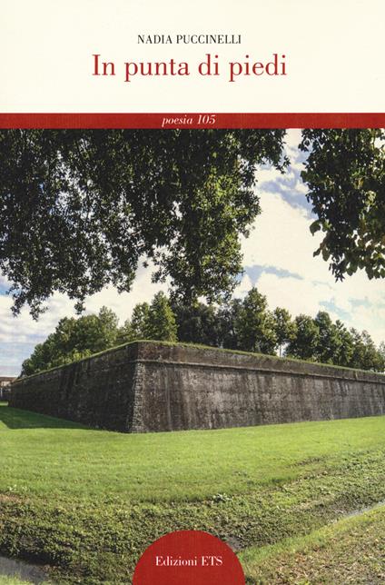 In punta di piedi - Nadia Puccinelli - copertina