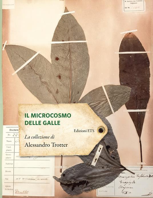 Il microcosmo delle galle. La collezione di Alessandro Trotter - copertina