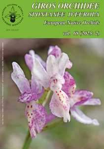 Libro Giros. Orchidee spontanee d'Europa (2025). Vol. 2 