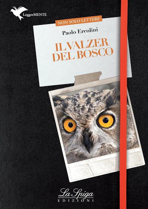 Il valzer del bosco - Paolo Ercolini - ebook