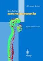 Testo illustrato di neuroanatomia