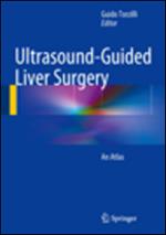Ultrasound-guided liver surgery. An Atlas