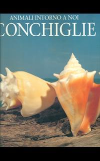 Conchiglie. Ediz. illustrata