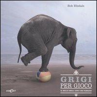 Grigi per gioco. Il bello degli anni che passano - Bob Elsdale - copertina