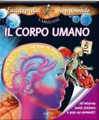 Libraccio