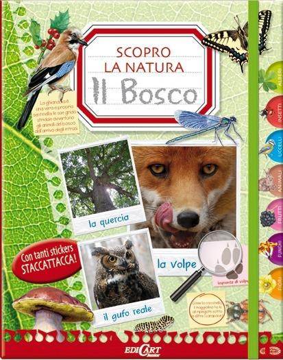 Il bosco. Scopro la natura. Con adesivi. Ediz. illustrata - copertina