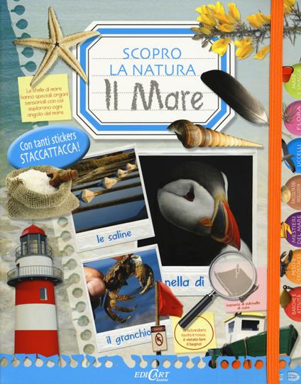 Il mare. Scopro la natura. Con adesivi. Ediz. illustrata - copertina