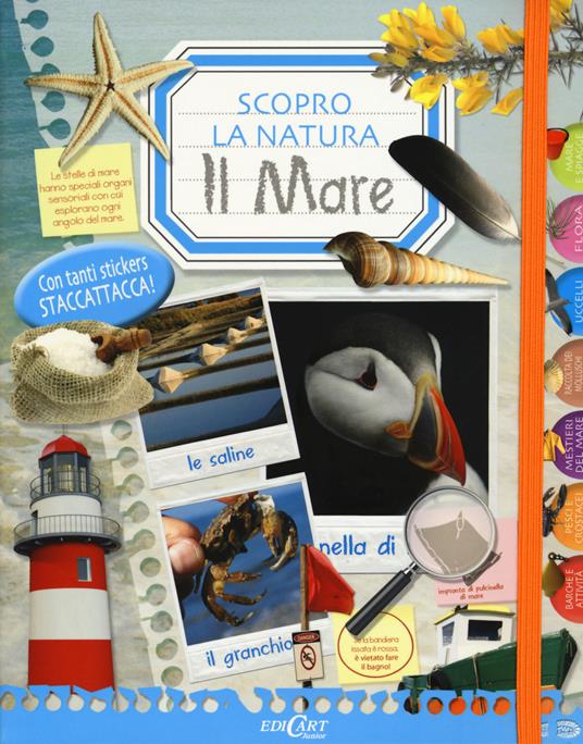 Il mare. Scopro la natura. Con adesivi. Ediz. illustrata - copertina