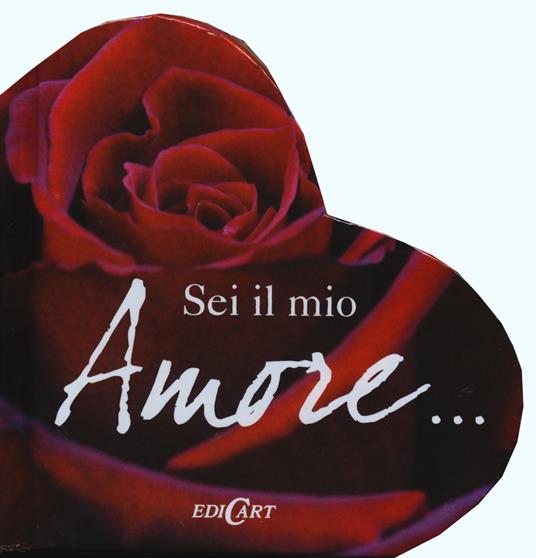 Sei il mio amore - copertina