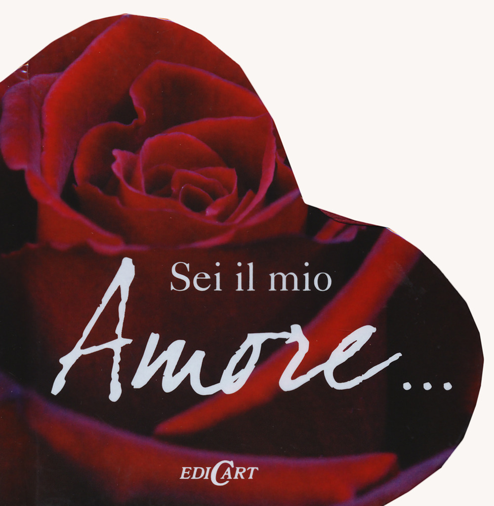Libraccio