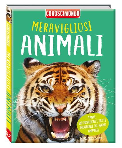 Meravigliosi animali. Conoscimondo - Jinny Johnson,Ann Kay,Steve Parker - copertina