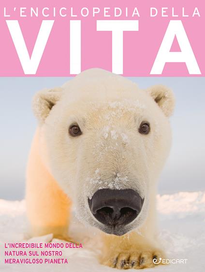 L'enciclopedia della vita. Ediz. a colori - copertina