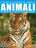 Nome prodotto