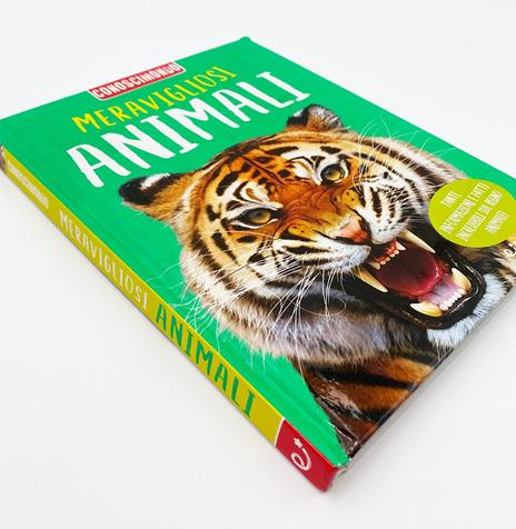 Meravigliosi animali. Conoscimondo. Ediz. a colori - Jinny Johnson,Ann Kay,Steve Parker - copertina