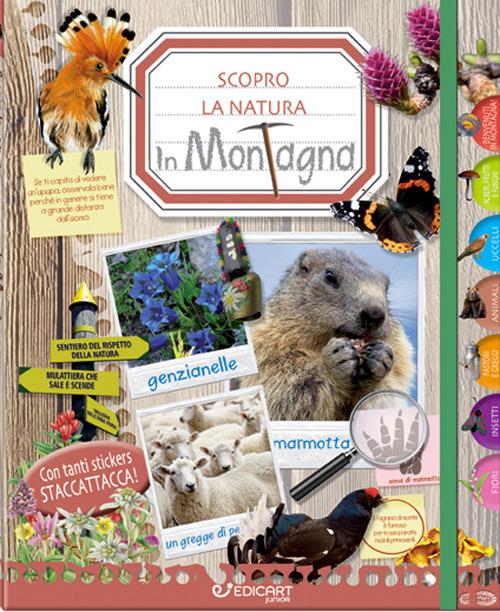 In montagna. Scopro la natura. Con adesivi. Ediz. illustrata - copertina