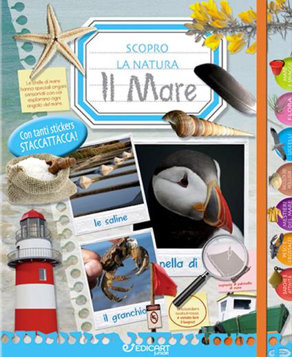 Il mare. Scopro la natura. Con adesivi. Ediz. illustrata - copertina