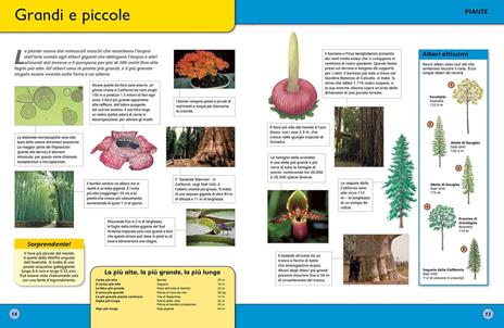 L'enciclopedia della vita - 3